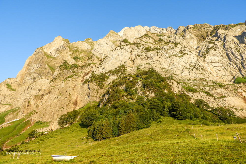 Start auf dem Gitschenberg. Hier hinauf, wohl kaum, ja doch hier obsi.