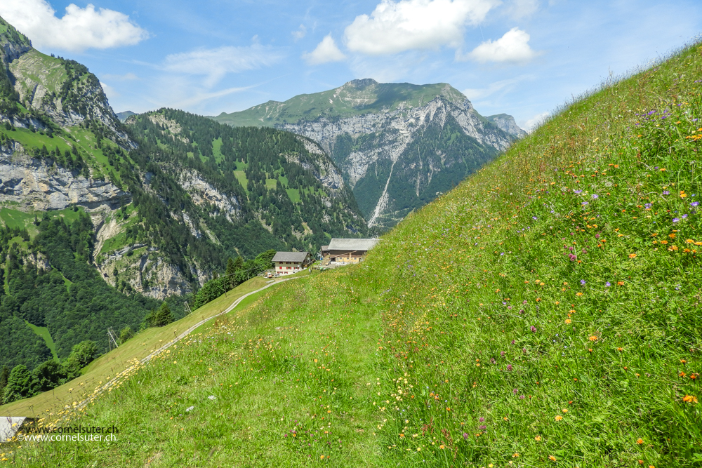 und bereits bei der Gietsflue, ab hier mit der Luftseilbahn hinunter fahren nach Schwäntelen.