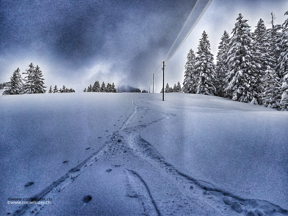 Aufstiegs und Abfahrtsspur