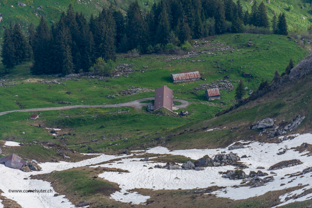 Unsere Alp Rotenbalm 1504m.