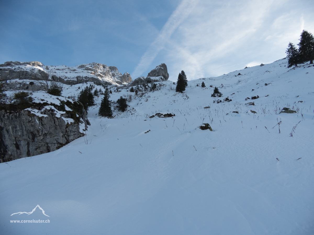 Schon unten im Gebiet unserer Alp Rotenbalm, Sicht hinauf zum Chli Achslenstöckli.
