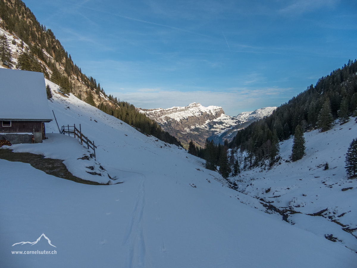 In der Goldplangg bei Suterlis Hütte.