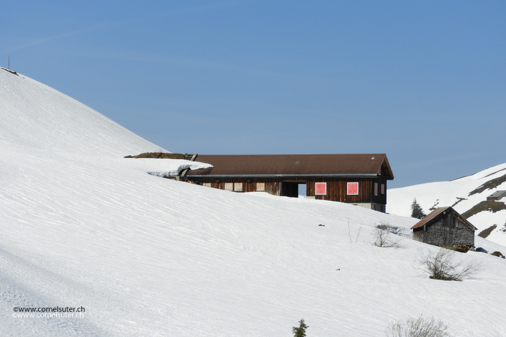 immer noch viel Schnee auf Rotenbalm 1504m.