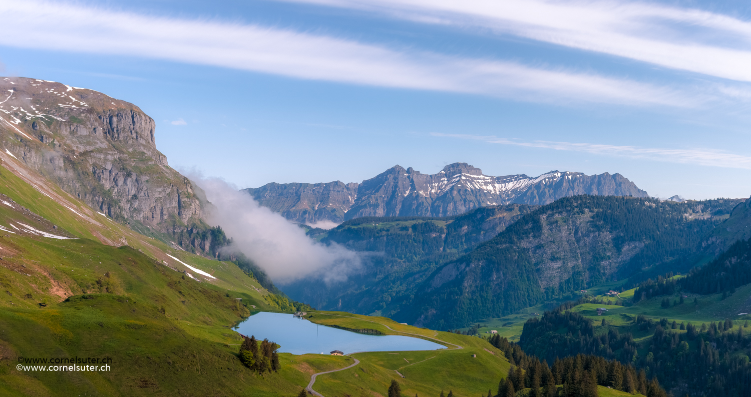 Waldisee.