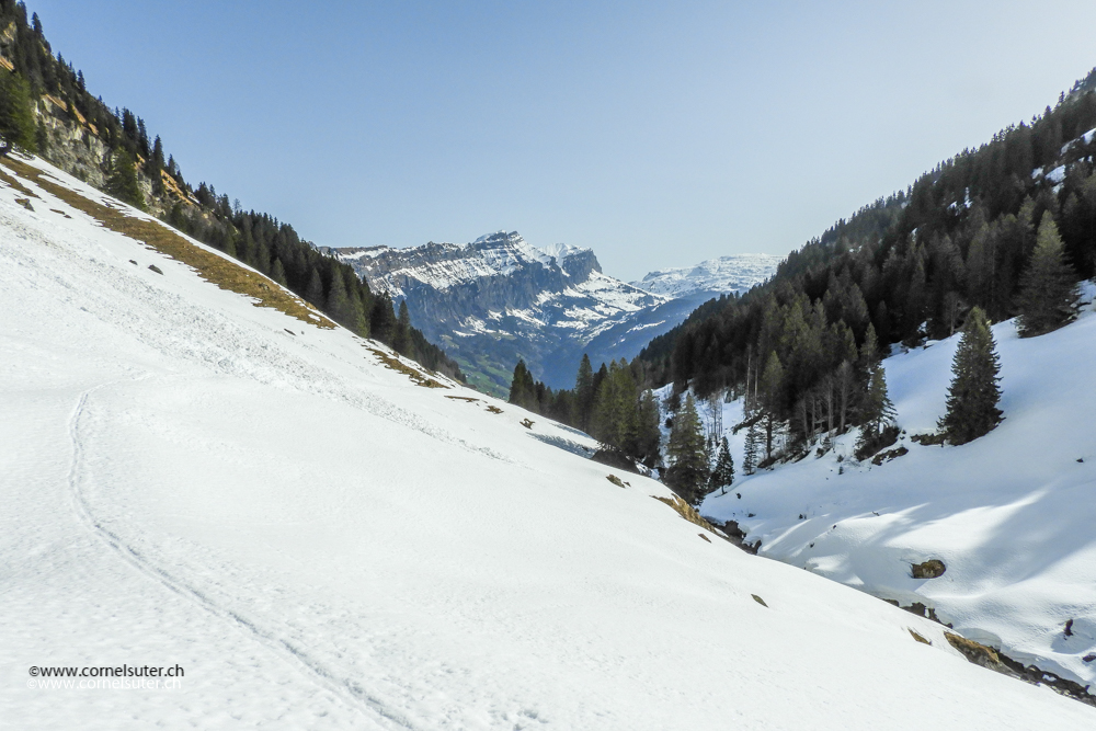 und bereits unten in der Goldplangg bei Suterlis Hütte.