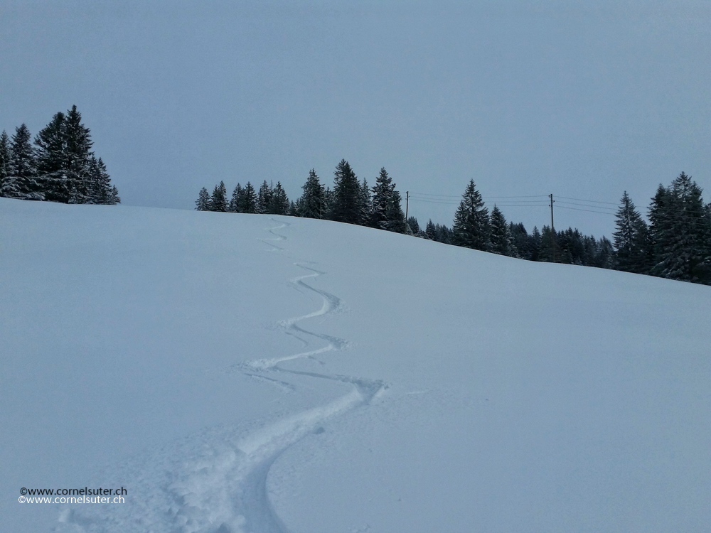 Immer wieder schöne Abfahrt im besten Pulverschnee.