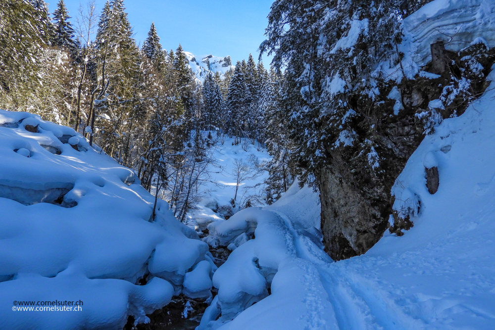 Winterwunderländ...