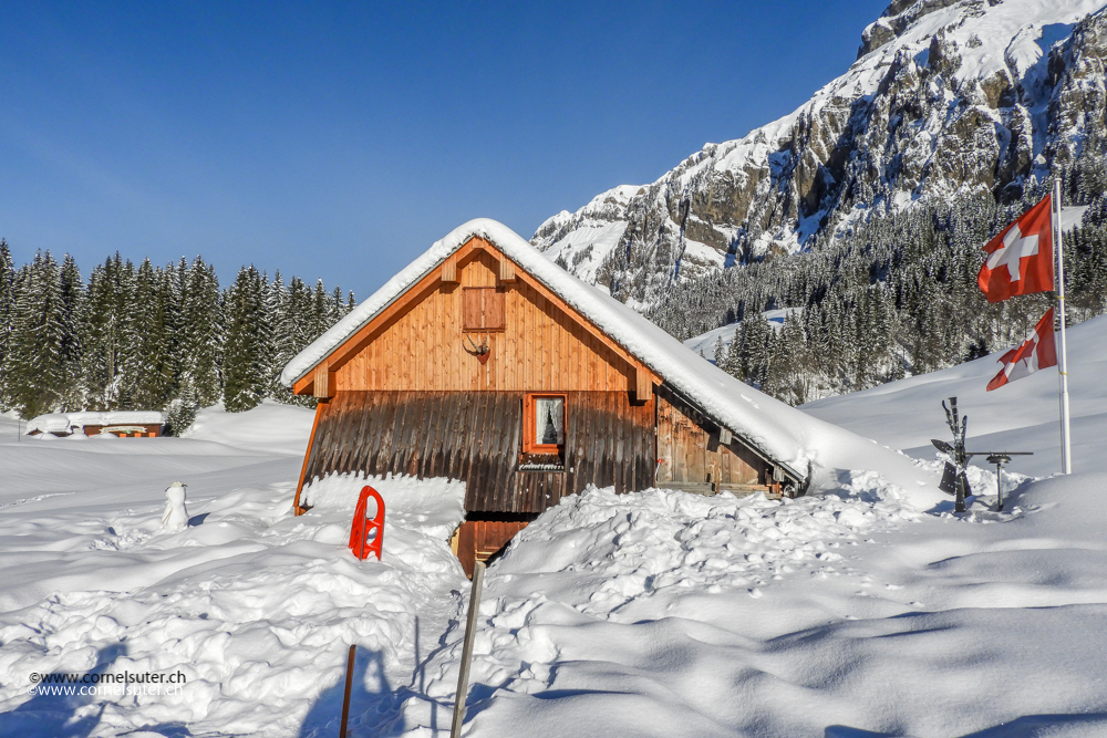 Ziemlich viel Schnee....