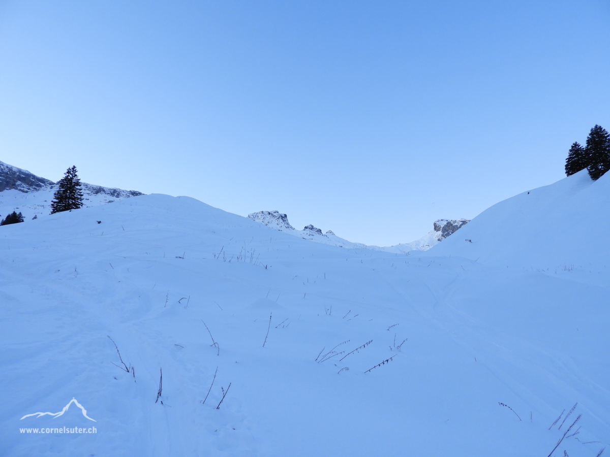 Oberhalb des Ruosalplerwald, wenig Schnee....