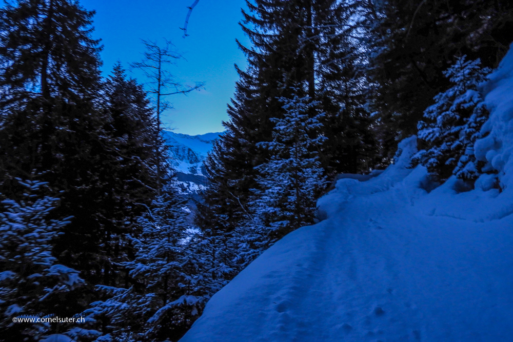 Oberhalb Ambri im Waldweg, in 10 Kehren gehts hinauf....