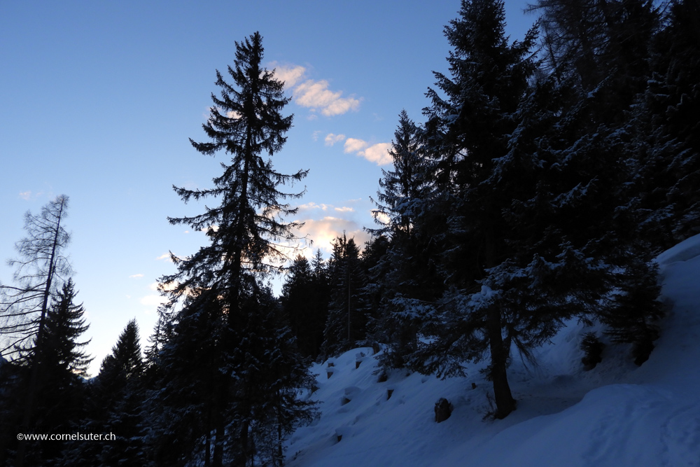 Morgenstimmung
