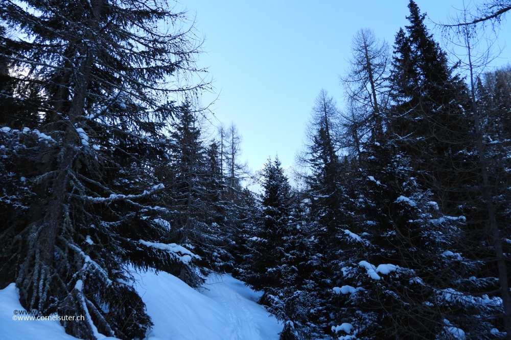 Nach Gioett im Wald hinauf zu Cap. di Cara