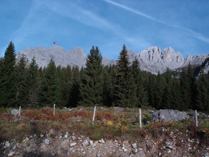 Von der Wochenbrunner Alm 1084m aus gegen unser Ziel, dem Treffauer 2304.