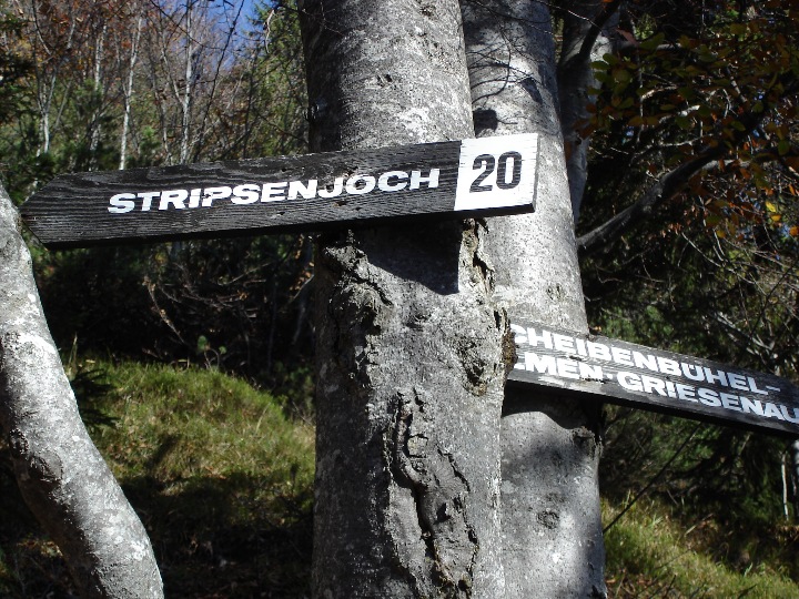 Hier in richtung Stripsenjoch, zuerst ber den Feldberg dann gehts weiter zum Stripsenjoch oder Stripsenkopf.