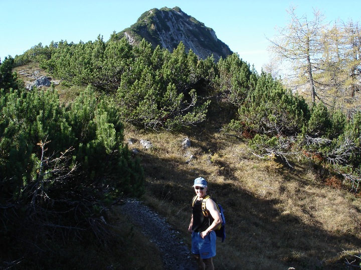 Dann gehts weiter durch die Latschen-Kiefer hoch zum Feldberg.