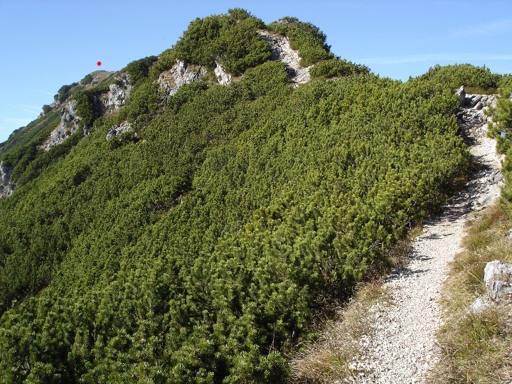  Feldberg in Sicht.