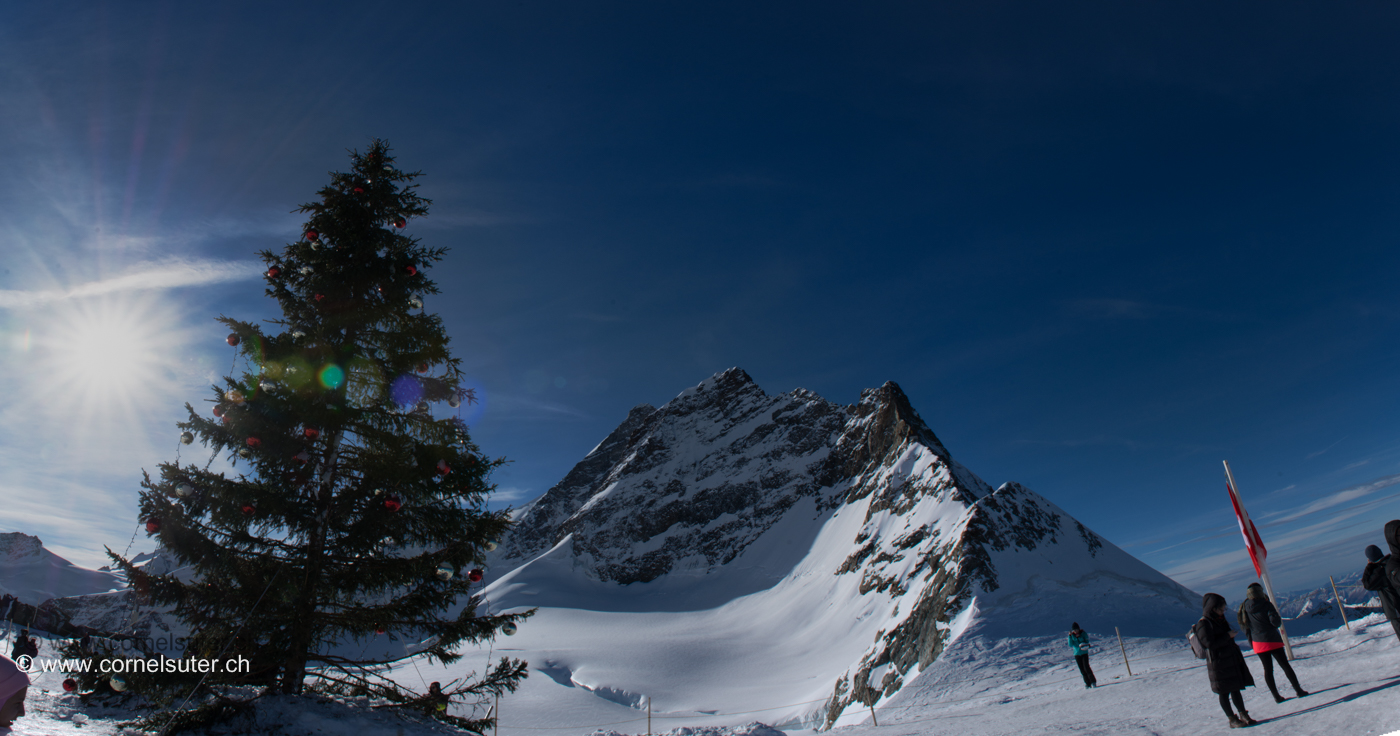 Weihnachtsbaum auf dem Jungfraujock 3466m mit Sicht zur Jungfrau 4158m.