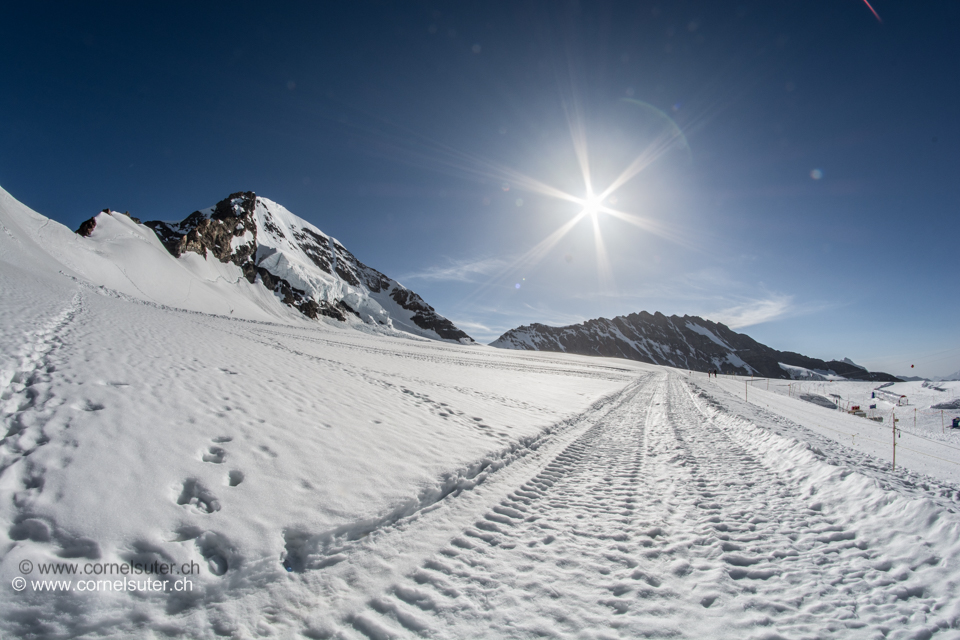 Abgekommen auf dem Jungfraujoch, links der Aufstieg via Südwest-Grat.