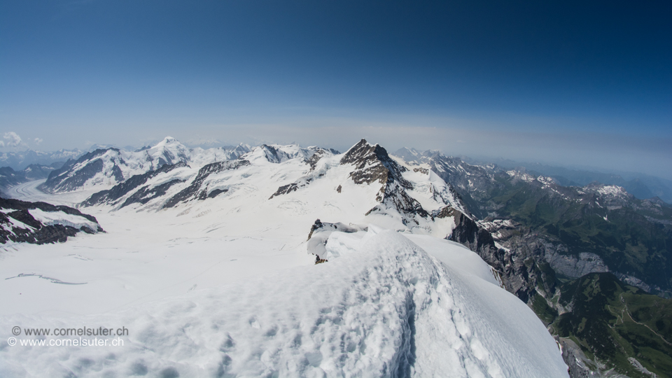 Sicht zur Jungfrau 4158m und weitere Trabanten.