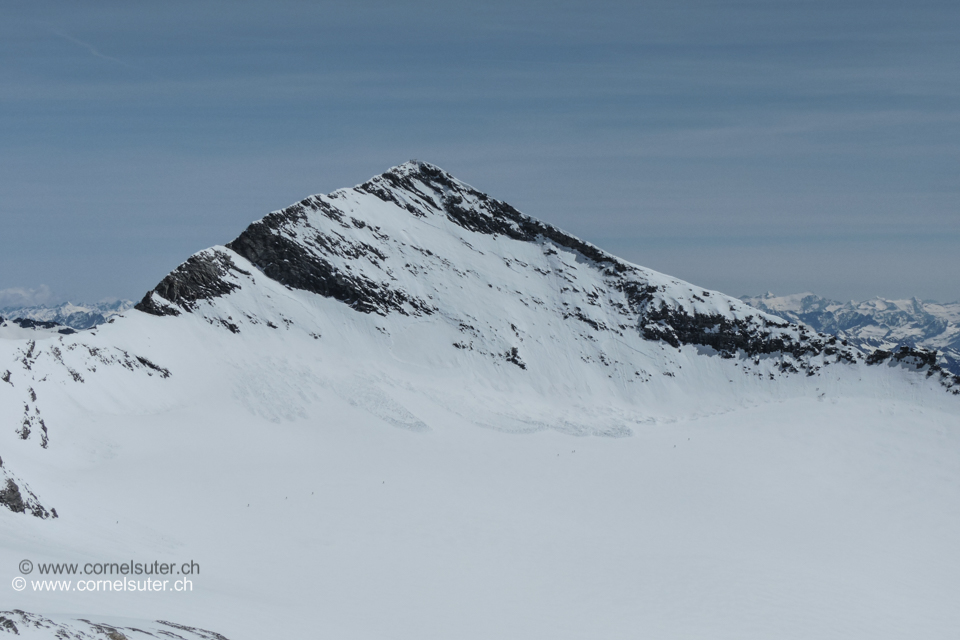 Zomm zum Monte Leone 3553m, rechts der Südgrat.