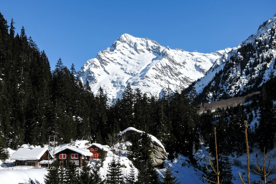 Bereits beim Rüteli 1092m, Sicht zum Gross Düssi 3256m der Wächter des Maderanertals.