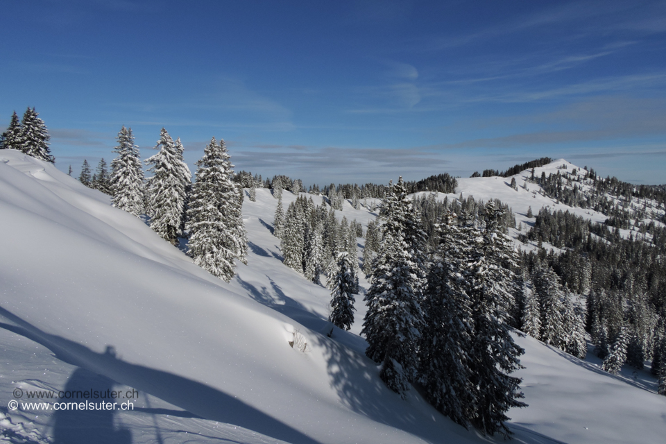.... zum Furggelenstock 1656m rechts hinten.