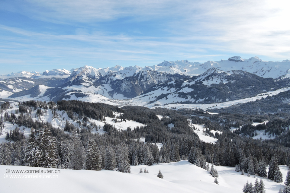 Aussicht zum Oberiberg, rechts oben Forstberg, Druesberg links davon der Glärnisch.