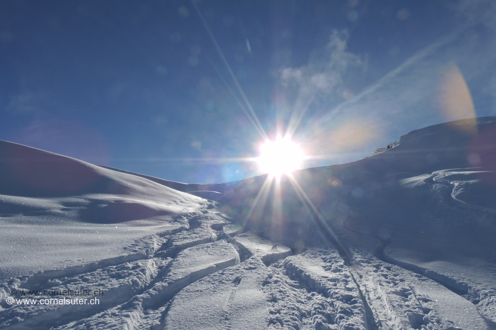 Herrlich an der Sonne.