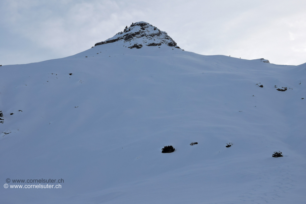 Abfahrt Sicht zurück zum Geissberg 2318m, schönen Pulverschnee auf Hartschnee, fantastisch.