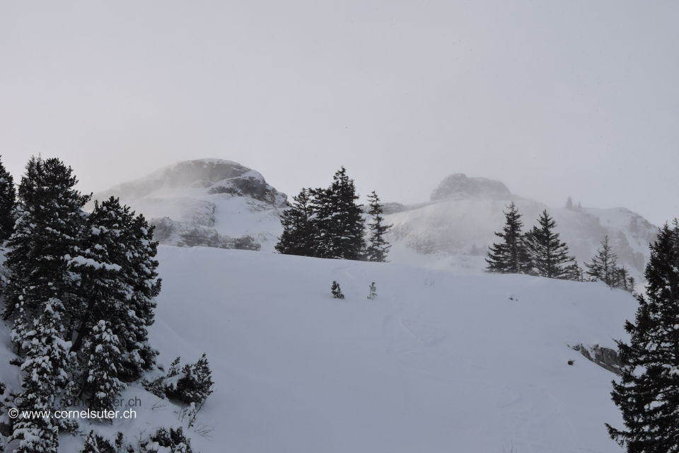 Oberhalb vom Ahöräli sicht zum Stöckli 1976m und Wiss Nollen 2155m, ziemlich Fööööhnig!!