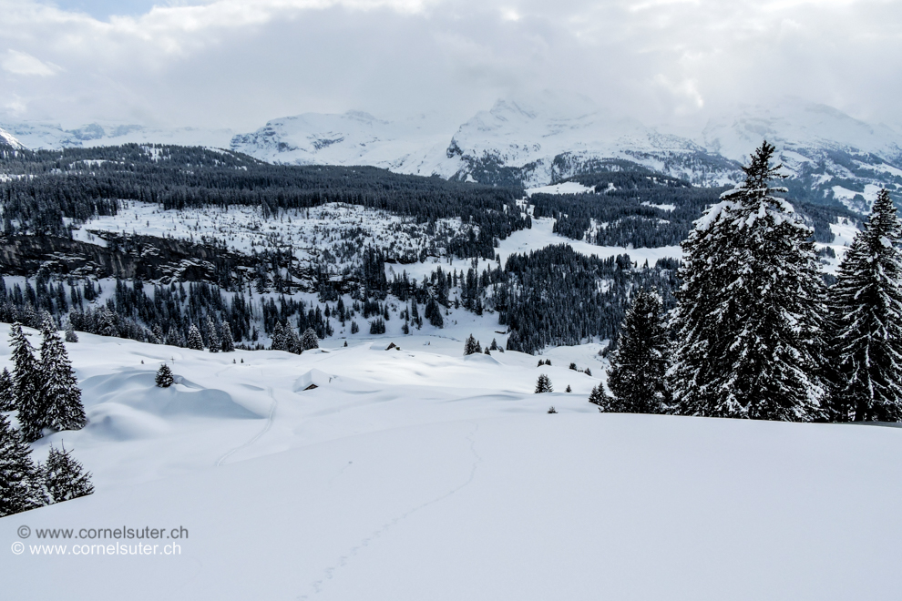 Abfahrt vorbei beim Schinboden 1495m.