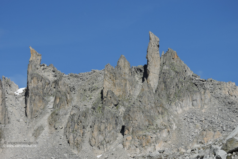Auch die Kamele geniessen das schöne Bergwetter.