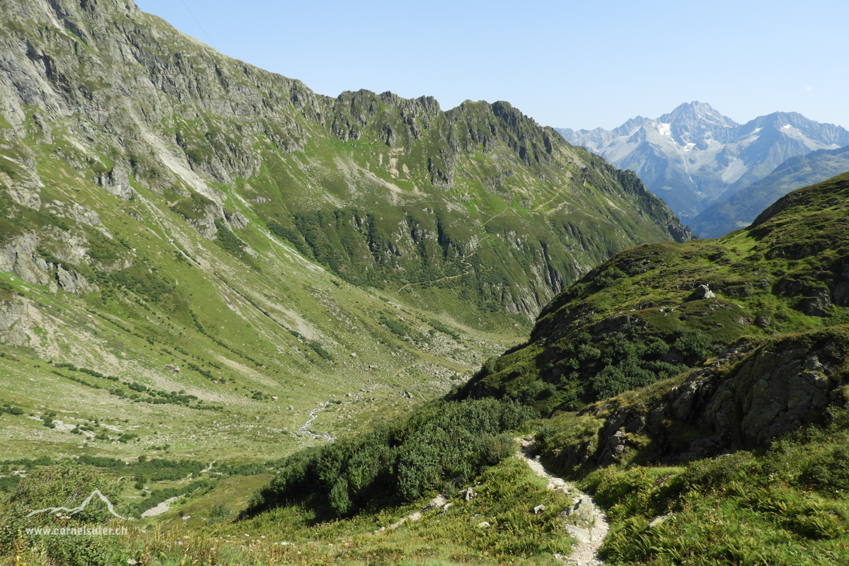 Zurück wandern zum Arnisee.