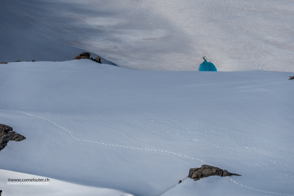 Meine Aufstiegsspur, darunter ein hübsches Gletscherseeli auf dem Rhonegletscher...