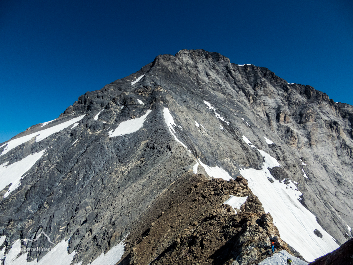 Sicht zurück zum Eiger, rechts der Mittellegigrat, ca mitte Bild der Absteig zum Nördlichen Eigerjoch.