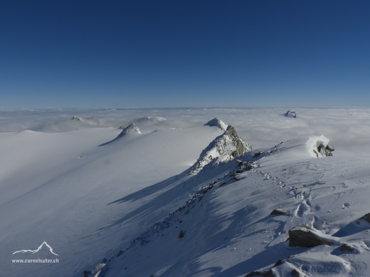 Es geht weiter, hinüber zum Schneestock 3608m.