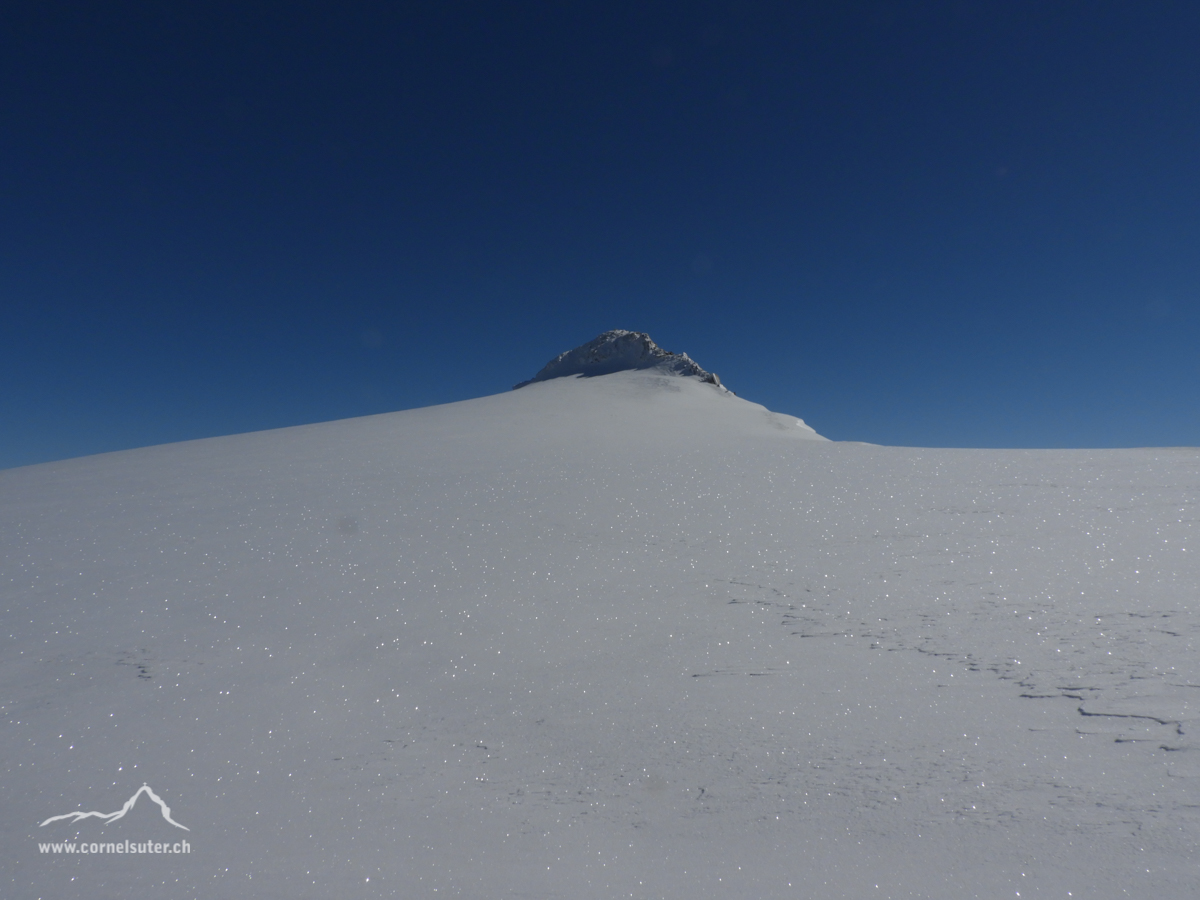 Der Schneestock 3608m