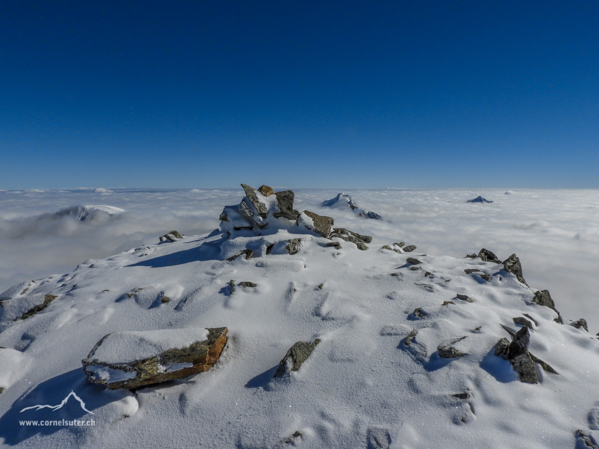 Auf dem Schneestock 3608m