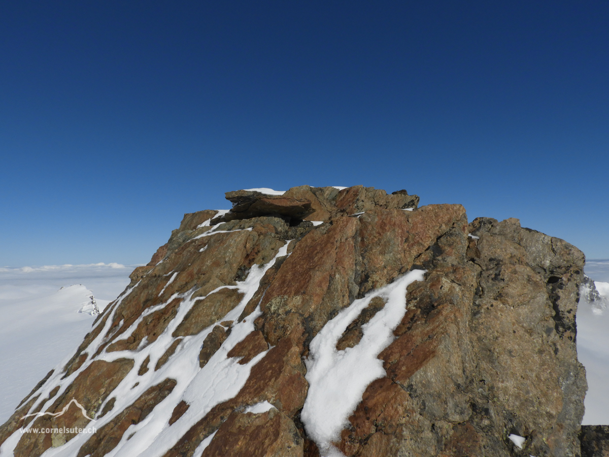 Auf dem Eggstock 3554m.