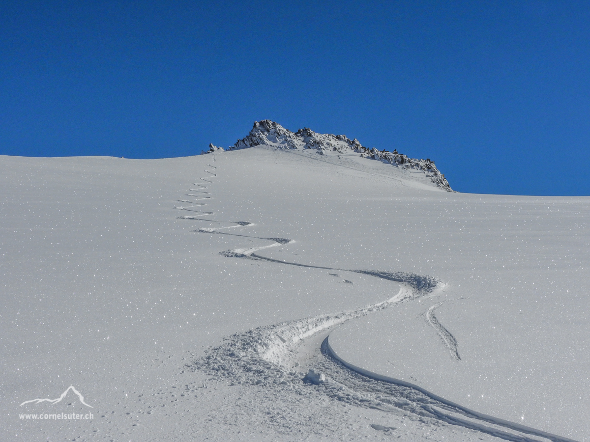 Sommerskitour mit Pulverschnee, wie geil ist dass denn!!!!