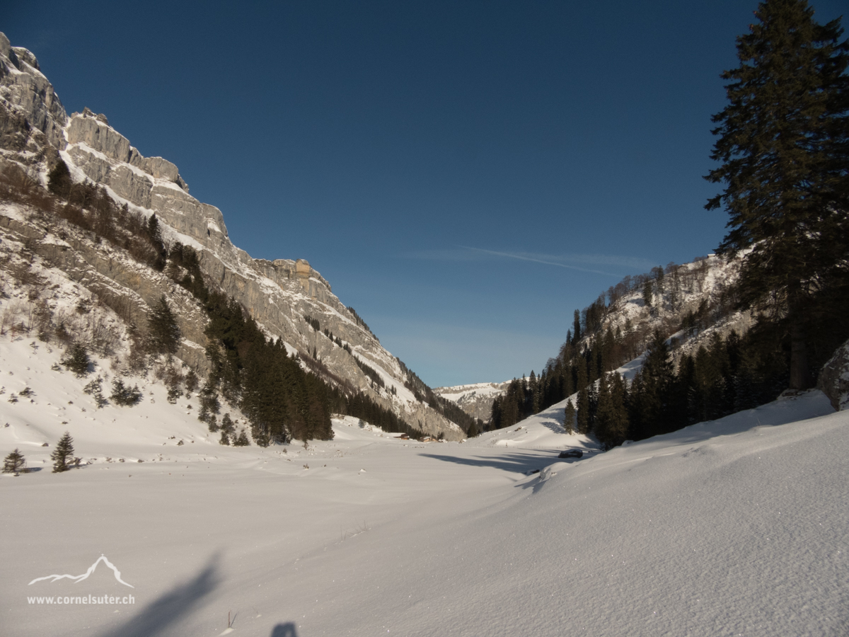 Beim Grund im Lipplis