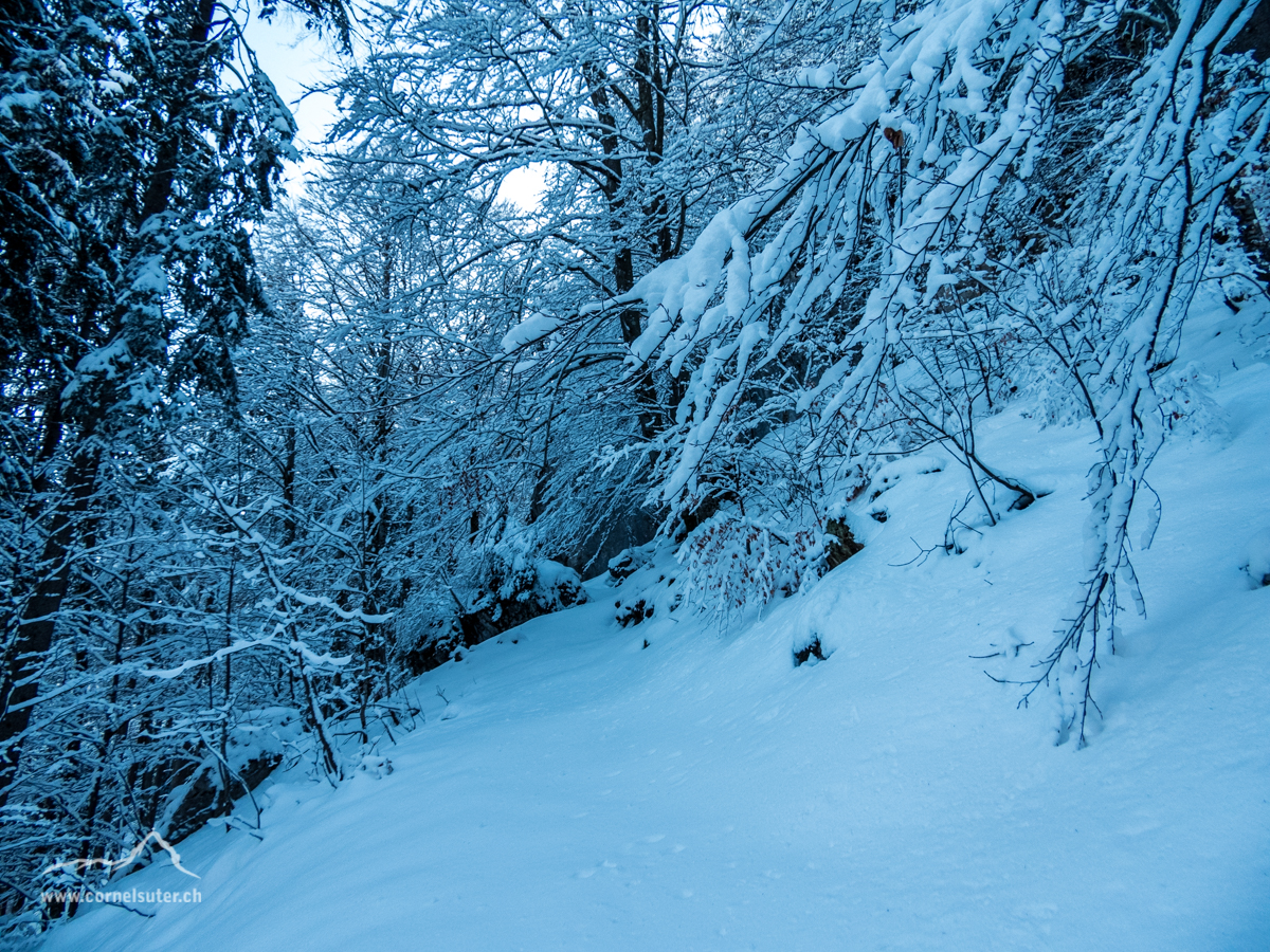 Frischer fluffiger Pulverschnee.