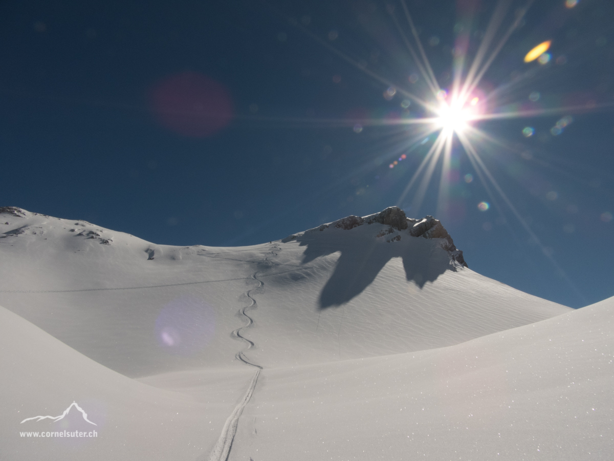 Abfahrt Geissstock in besten Pulverschnee.....