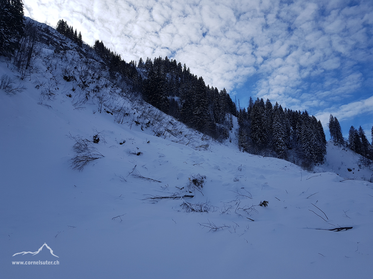 Bereits weiter unten im Gebiet unserer Alp Grindsblacken... eine Lawine.
