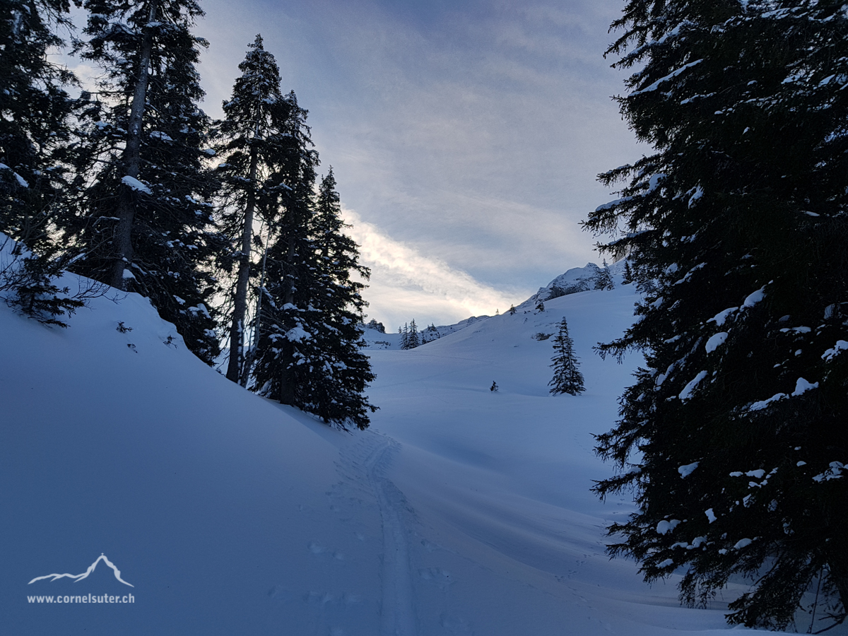 Oberhalb Alp Ahöräli