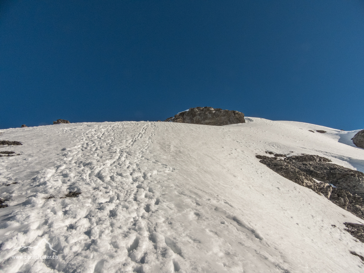 Bester Trittschnee