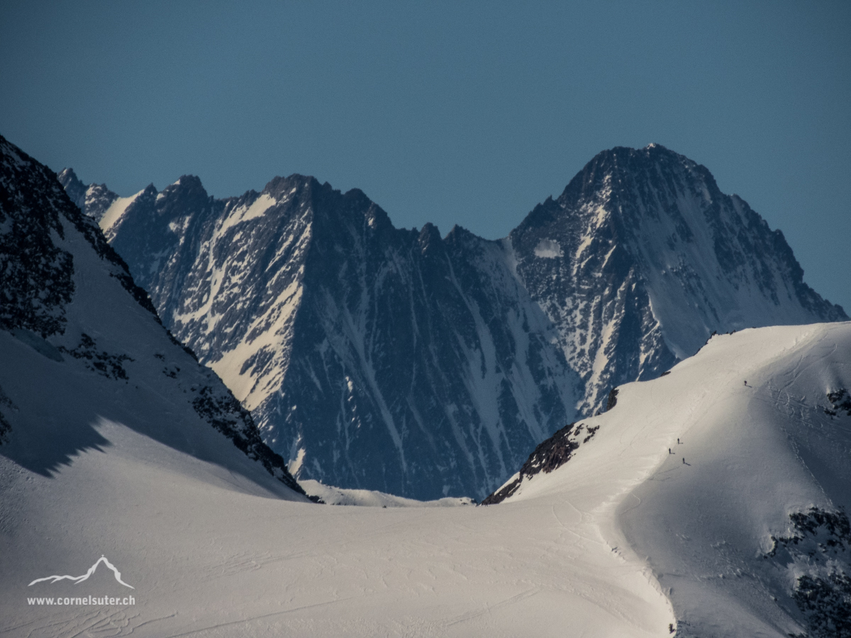 Das Schreckhhorn 4078m mit Durchblick bei der Tierberglücke. Zu erkennen sind Skitoüreler unterwegs am Vorder Tierberg 3091m. Bild aufgenommen auf dem Chli Griessenhorn 2852m, 31.März 2019 / 11:30 Uhr.