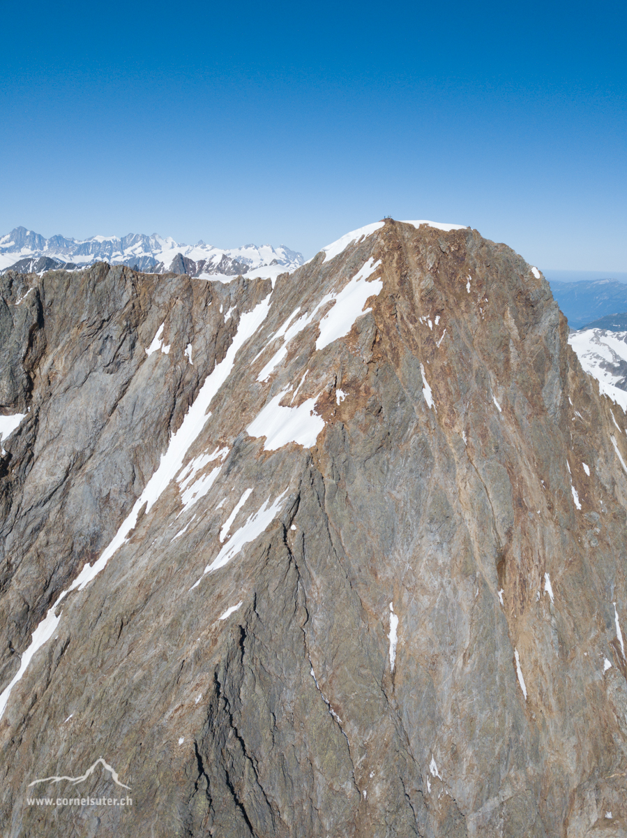Im Bild der Sustenhorn Ostgrat, fantastische Hochtour  (Klick Bericht lesen) 