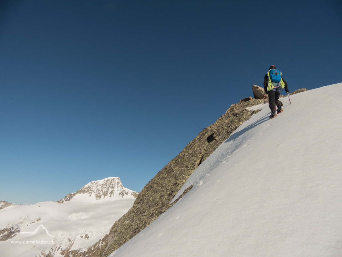 Noch die letzten paar Meter und wir haben den Winterstock erreicht, links hinten der Galenstock 3586m.