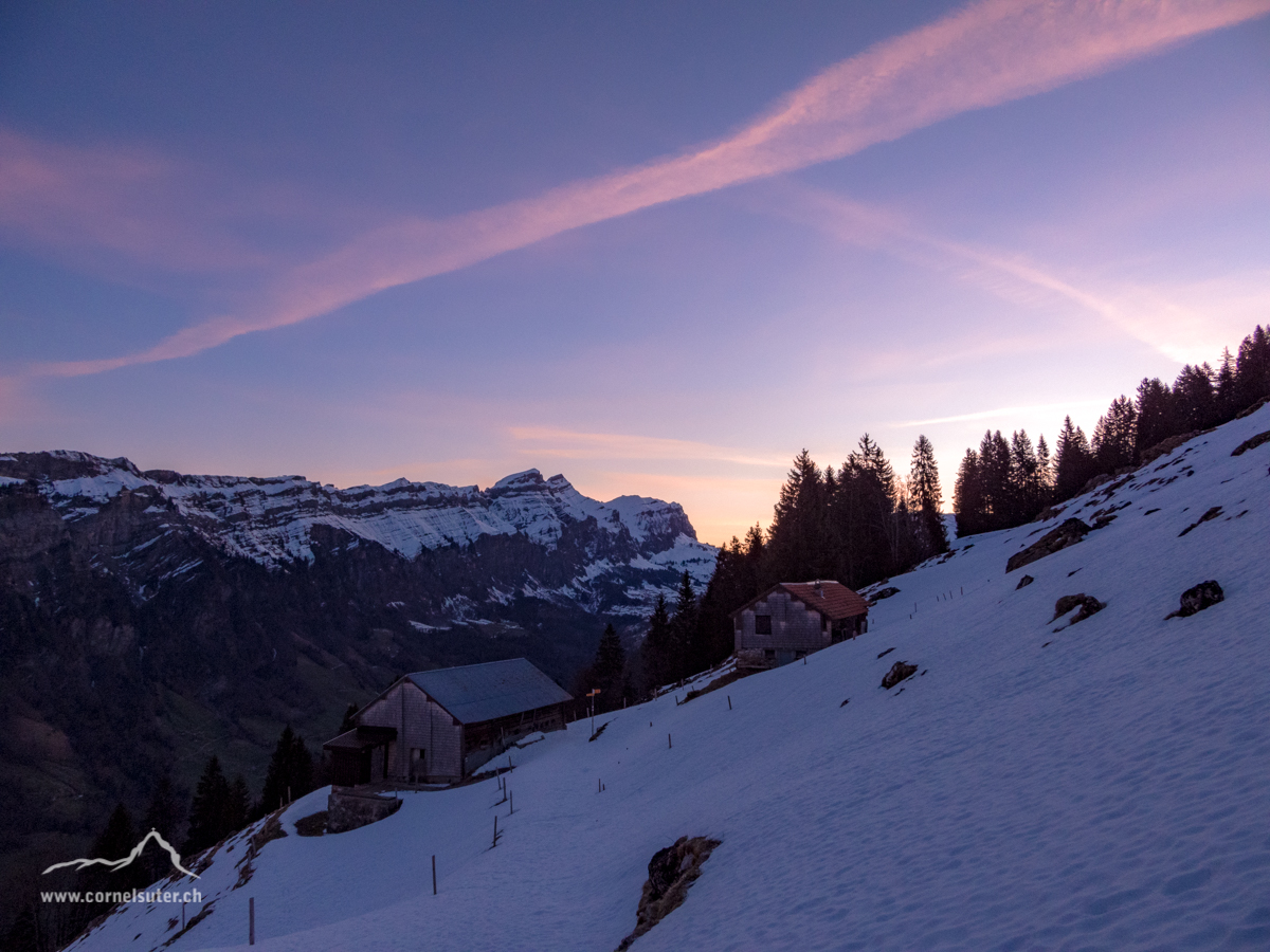 Ankunft beim Ebnet 1217m, Morgenstimmung.